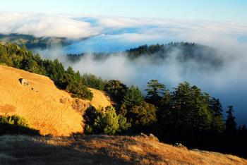 Foggy hills above Fairfax CA
